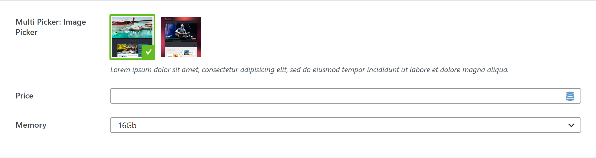 Option type — Theme Settings example