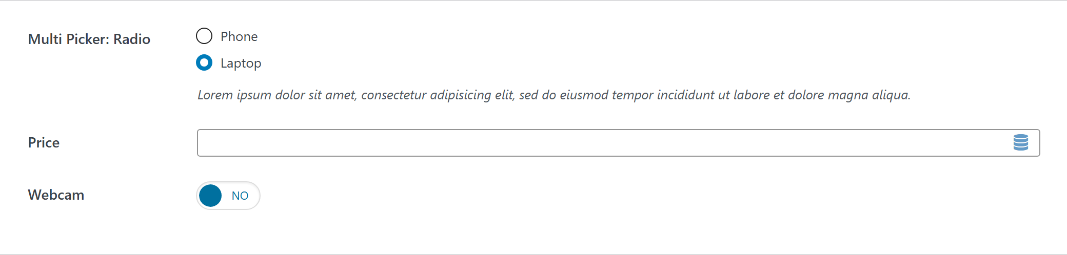 Option type — Theme Settings example