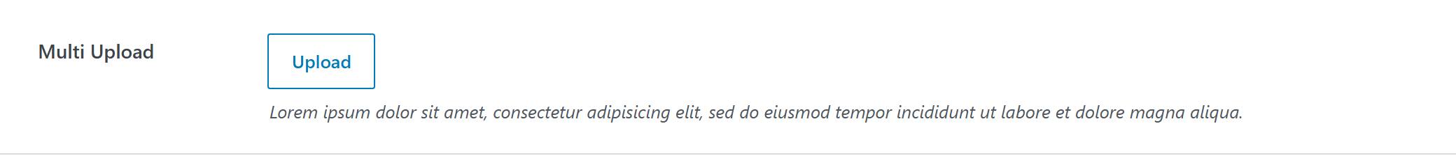 multi-upload option type — Theme Settings example