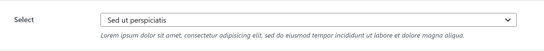 select option type — Theme Settings example