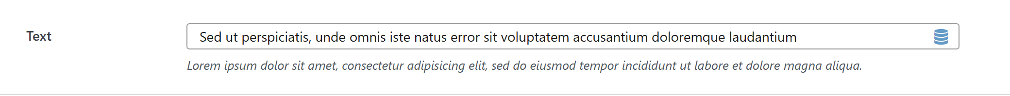 text option type — Theme Settings example