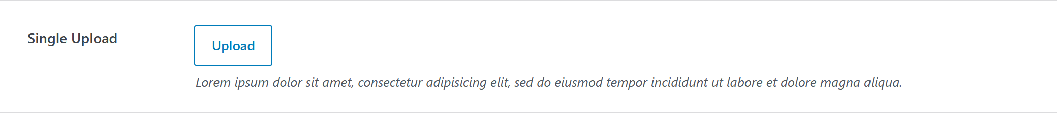 upload option type — Theme Settings example