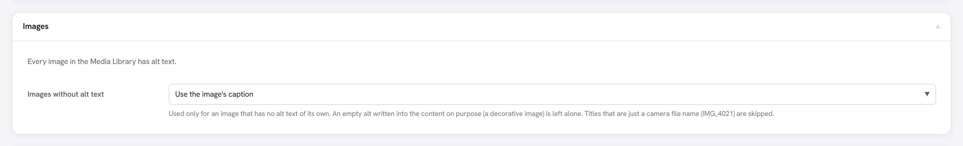 The Images box: how many images lack alt text with a Write them button, and the fallback for images without alt text