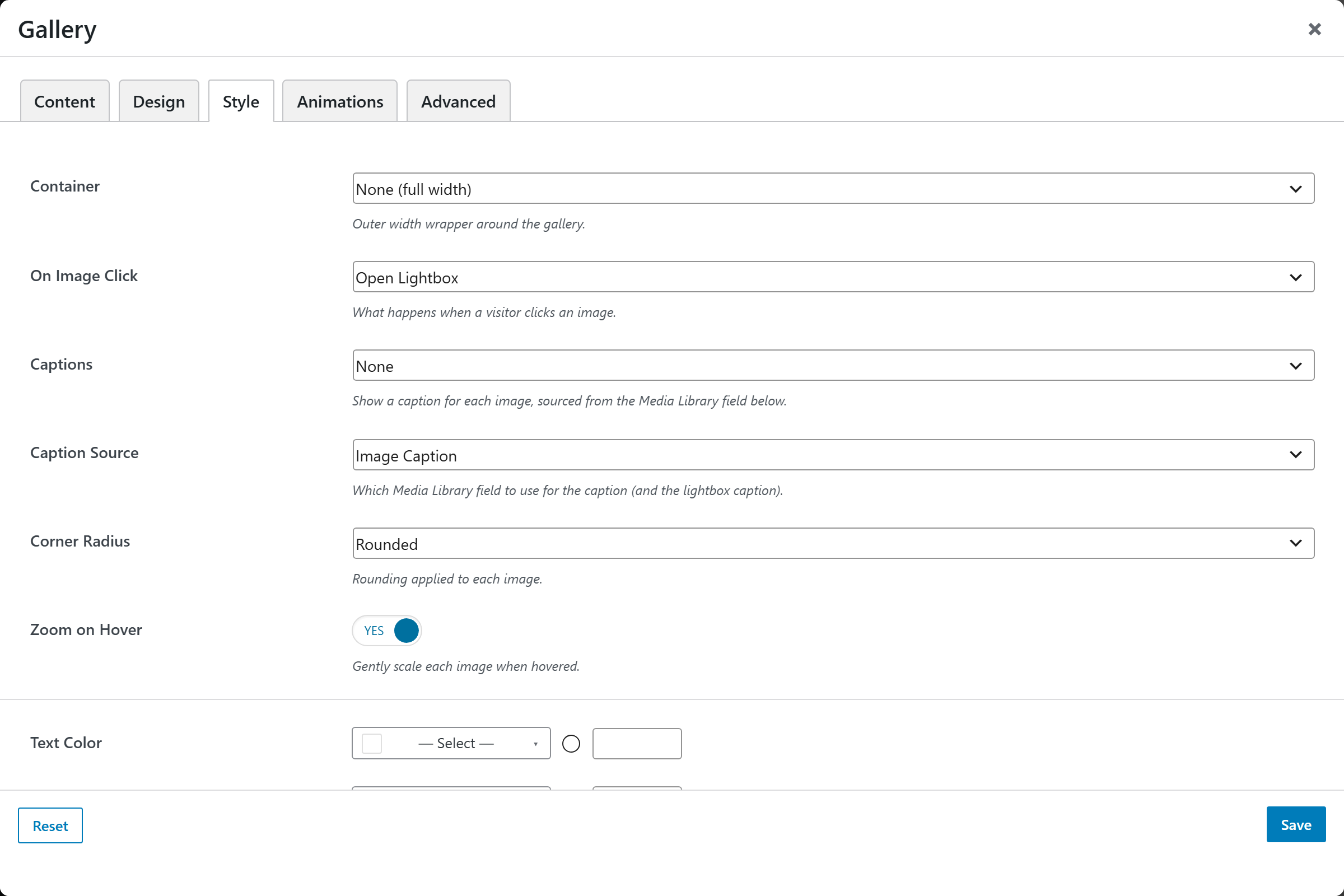 Gallery options panel — Style tab
