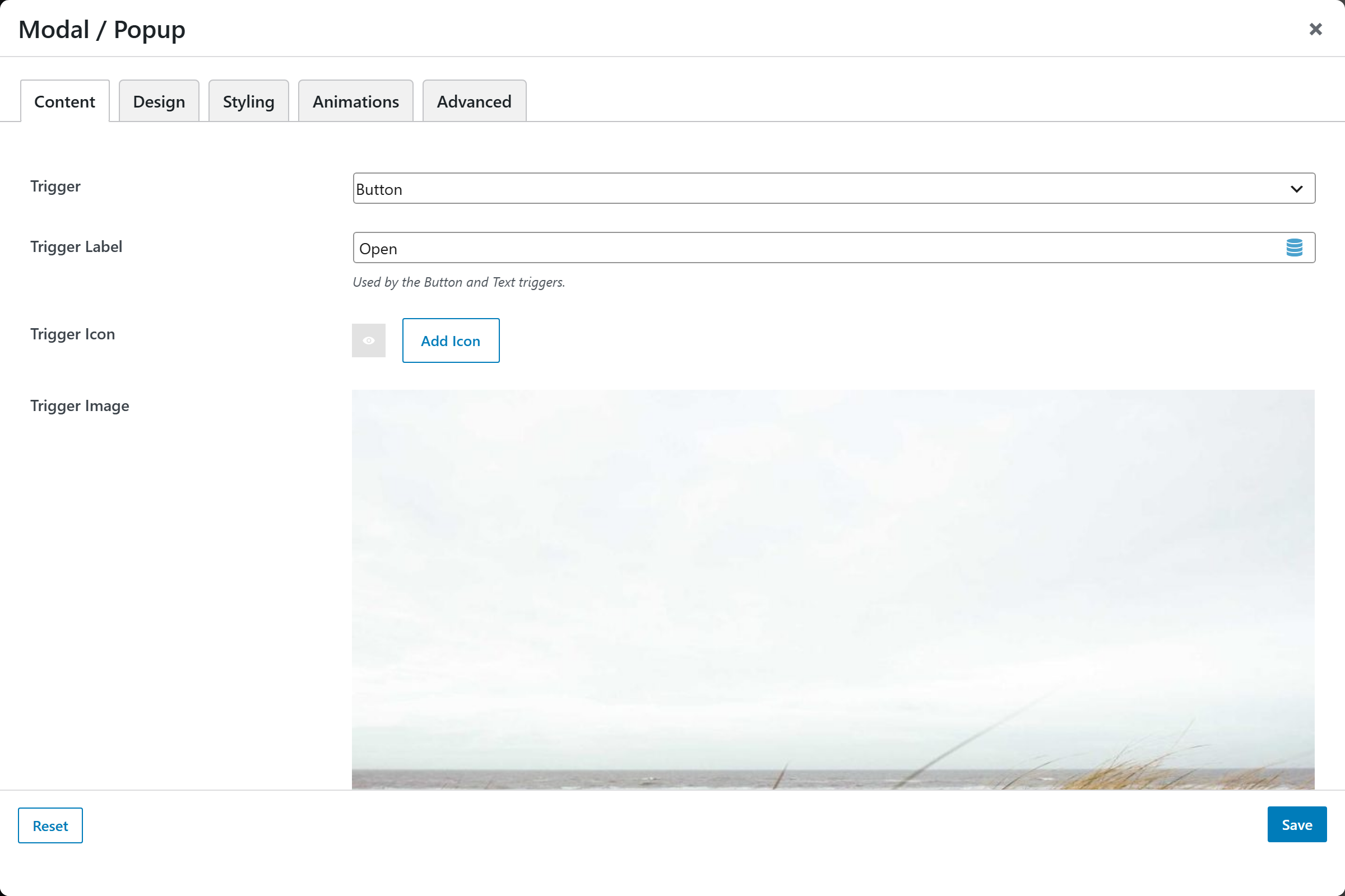 Modal / Popup options panel — Content tab
