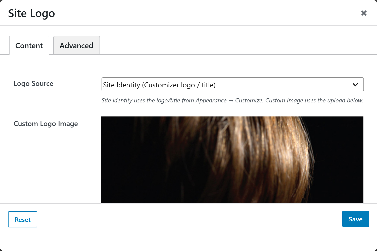 Site Logo options panel — Content tab